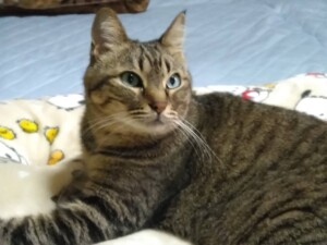 制作のために送っていただいた写真。スマホに保存されていた日常の一コマ